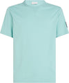 BADGE SLEEVE REGULAR FIT T-SHIRT MINT (MR5)