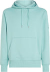 BADGE SLEEVE HOODIE FRESH MINT (MR5)