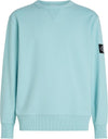 BADGE SLEEVE CREW NECK SWEAT FRESH MINT (MR5)