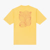 ASTOR T-SHIRT RAY