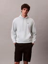 TERRY HOODIE MONOGRAM 3Q0 PALE MEADOW