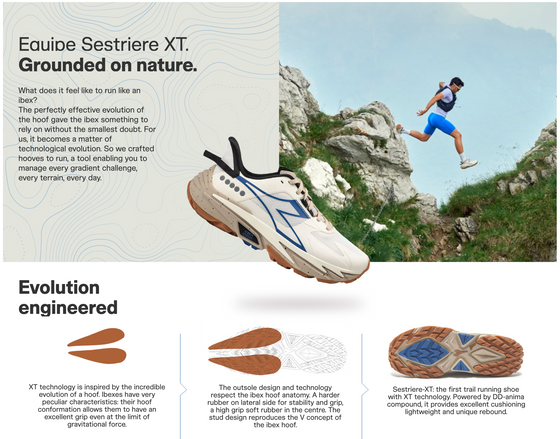 EQUIPE SESTRIERE-XT TRAIL RUN WHISPER/QUIET GREEN