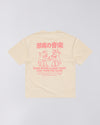 RARE SPINS GARMENT WASHED  FOG