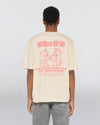 RARE SPINS GARMENT WASHED  FOG